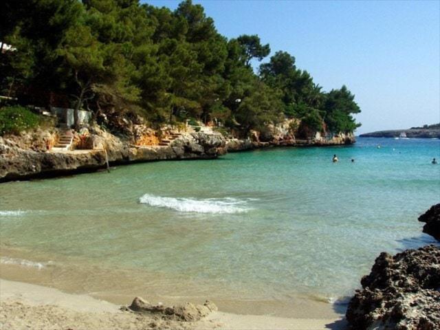 Appartement Sea Frontline 'ernesto'. Pool. Wifi